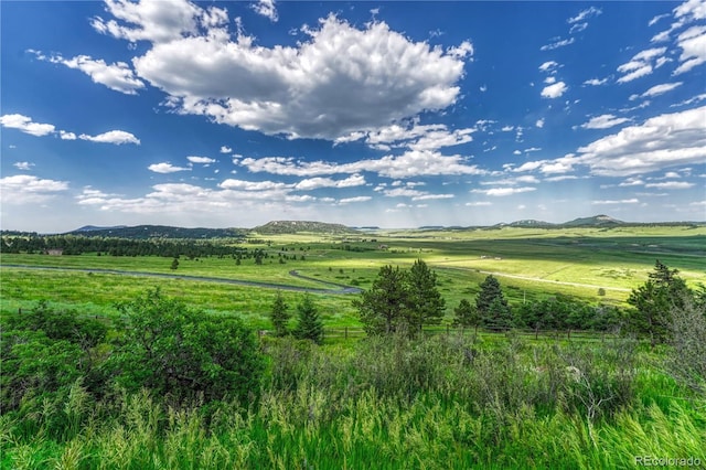 15533 S Perry Park Rd, Palmer Lake, CO 80133 - photo 50