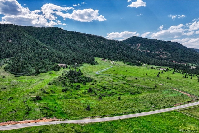 15533 S Perry Park Rd, Palmer Lake, CO 80133 - photo 2