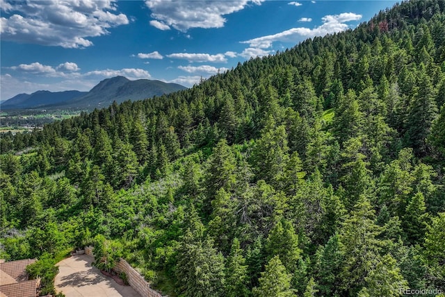 15533 S Perry Park Rd, Palmer Lake, CO 80133 - photo 7