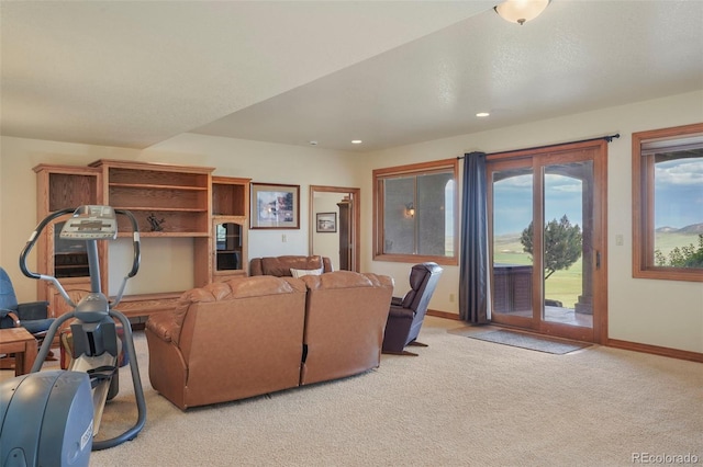 15533 S Perry Park Rd, Palmer Lake, CO 80133 - photo 37