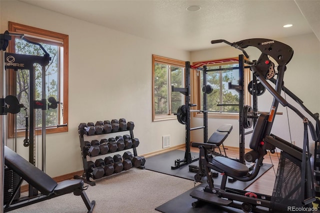 15533 S Perry Park Rd, Palmer Lake, CO 80133 - photo 39