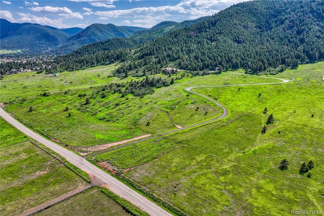 15533 S Perry Park Rd, Palmer Lake, CO 80133 - photo 49