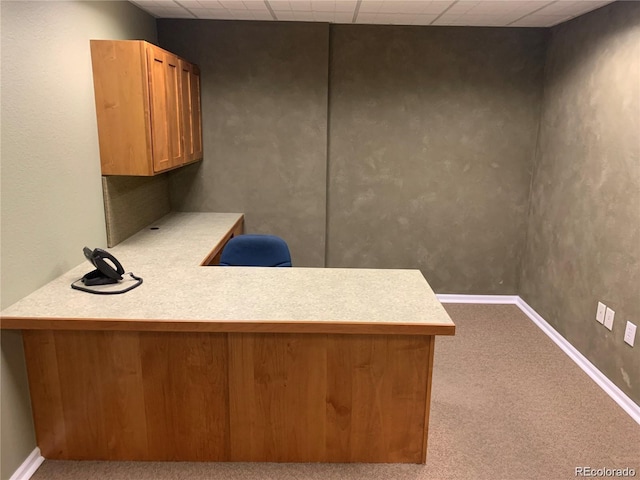 unfurnished office featuring carpet, baseboards, and a drop ceiling