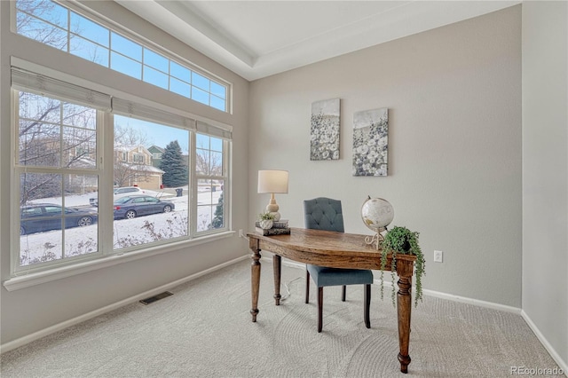 carpeted office featuring a wealth of natural light