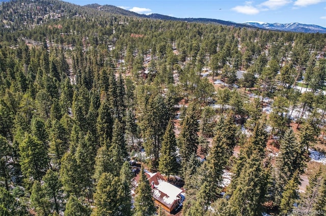 27802 Shadow Mountain Dr, Conifer, CO 80433 - view of property location featuring a forest and mountains