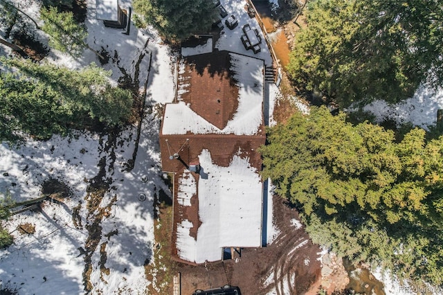 27802 Shadow Mountain Dr, Conifer, CO 80433 - view of property location