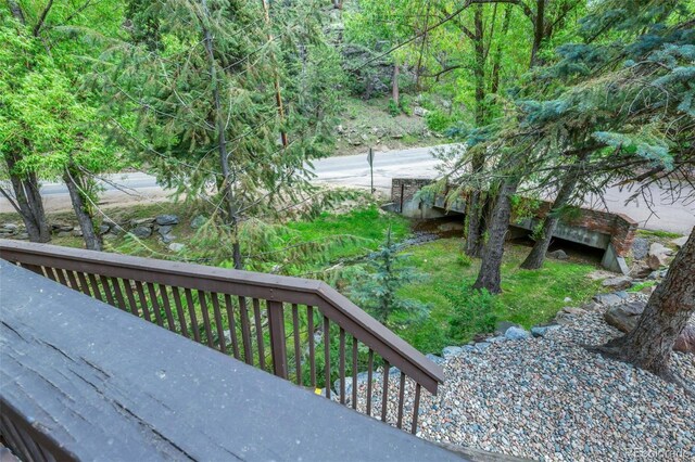 4843 Silver Spruce Ln, Evergreen, CO 80439 - photo 12