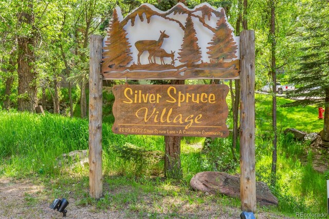 4843 Silver Spruce Ln, Evergreen, CO 80439 - photo 30