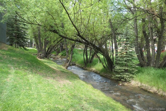 4843 Silver Spruce Ln, Evergreen, CO 80439 - photo 33
