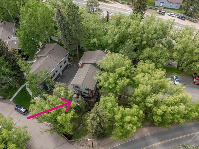 4843 Silver Spruce Ln, Evergreen, CO 80439 - photo 37