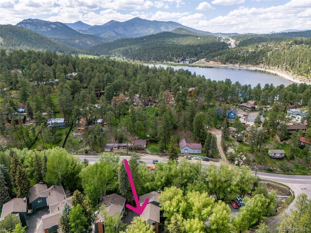 4843 Silver Spruce Ln, Evergreen, CO 80439 - photo 38