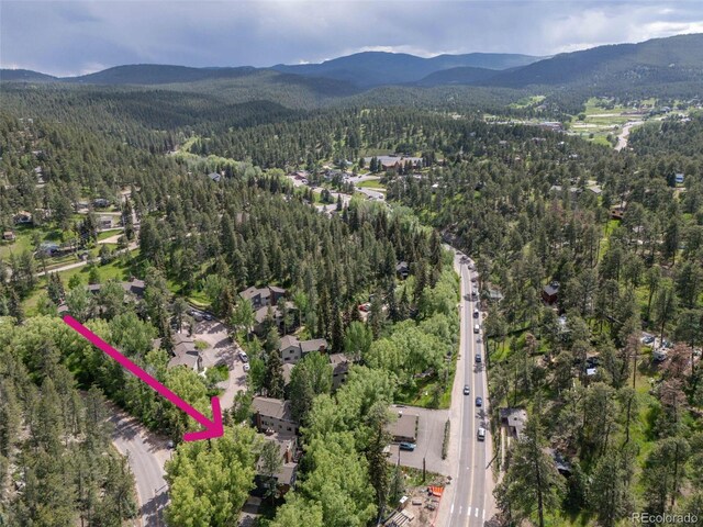 4843 Silver Spruce Ln, Evergreen, CO 80439 - photo 39
