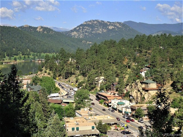 4843 Silver Spruce Ln, Evergreen, CO 80439 - photo 41