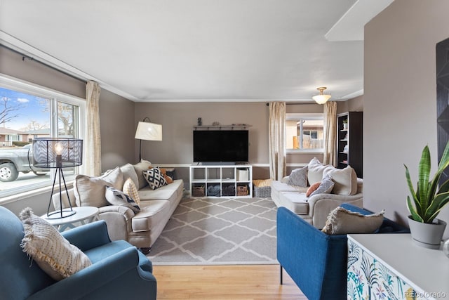 living room with crown molding and wood-type flooring