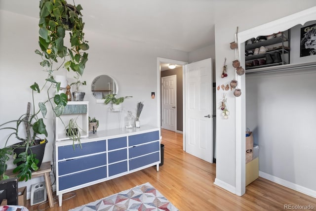 interior space with wood-type flooring and a closet