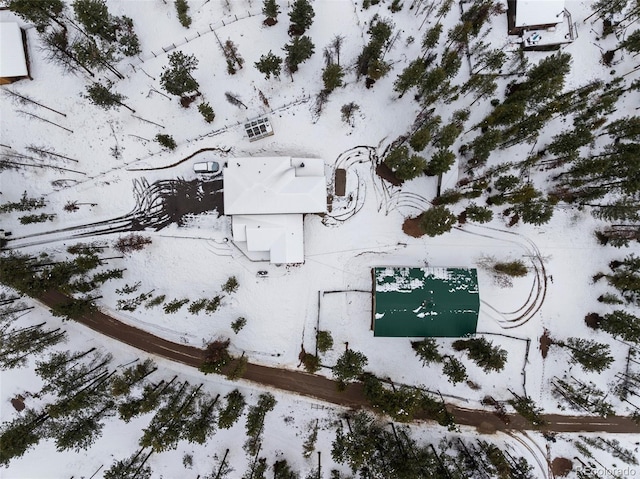 27987 Pine Grove Trl, Conifer, CO 80433 - bird's eye view