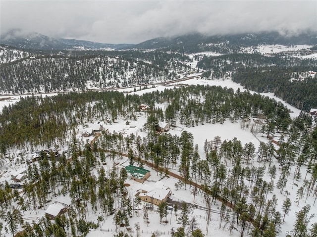 27987 Pine Grove Trl, Conifer, CO 80433 - snowy aerial view featuring a mountain view