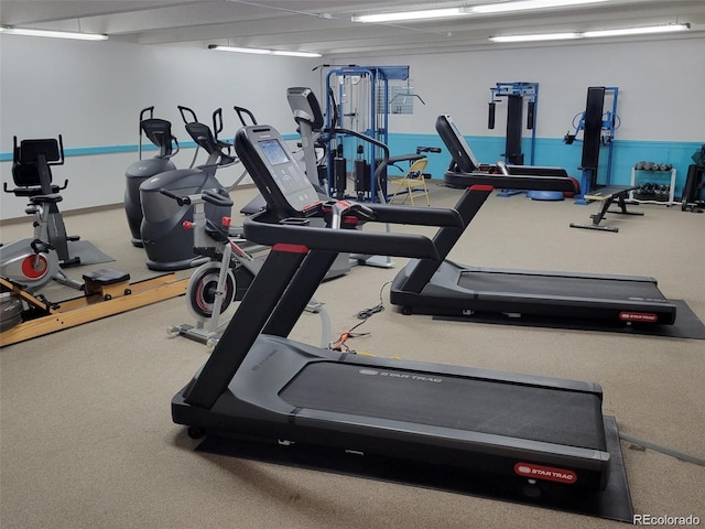 12522 W Virginia Ave, Lakewood, CO 80228 - workout area featuring carpet floors