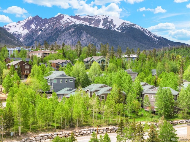 411 Saddle Ridge Dr, Silverthorne, CO 80498 - photo 1