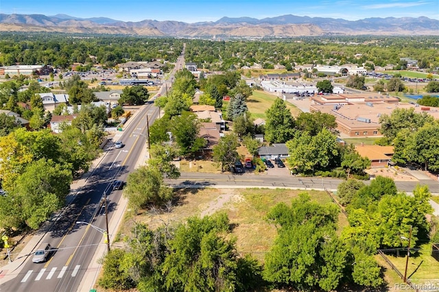3800 Independence Ct, Wheat Ridge, CO 80033