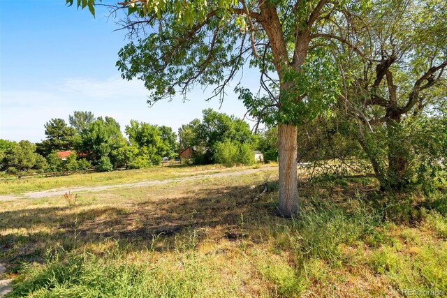 3800 Independence Ct, Wheat Ridge, CO 80033