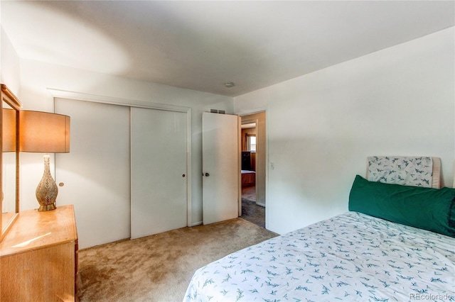 8257 Teller Ct, Arvada, CO 80003 - photo 9