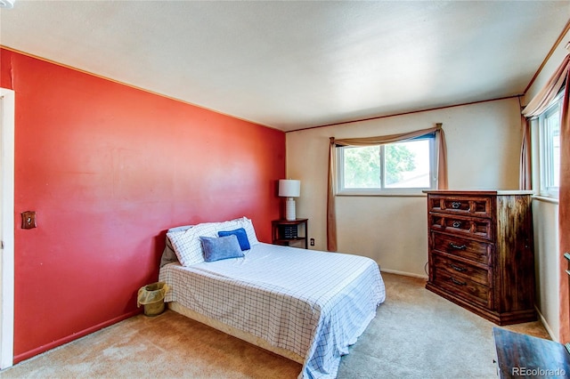 8257 Teller Ct, Arvada, CO 80003 - photo 11