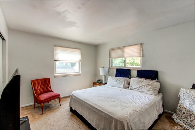 8257 Teller Ct, Arvada, CO 80003 - photo 13
