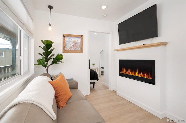 living room with light hardwood / wood-style flooring