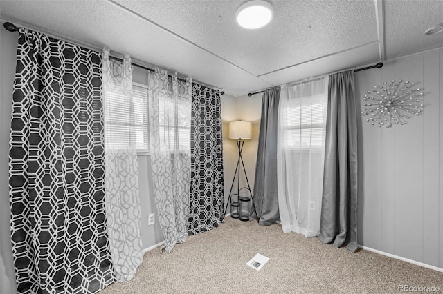 carpeted empty room featuring wooden walls