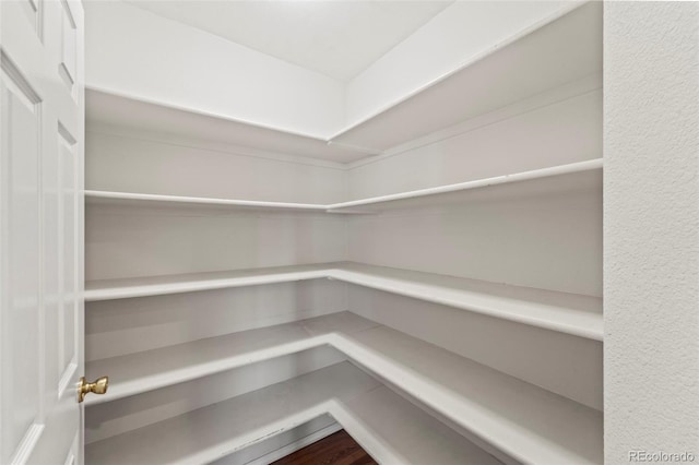 4960 Seton Pl, Colorado Springs, CO 80918 - view of pantry