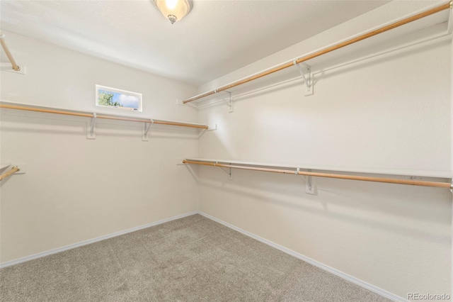 4960 Seton Pl, Colorado Springs, CO 80918 - walk in closet featuring carpet