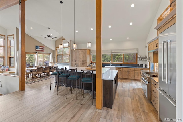 1107 Penstemon Rd, Dillon, CO 80435 - kitchen with premium appliances, a ceiling fan, light wood-style floors, a spacious island, and high vaulted ceiling