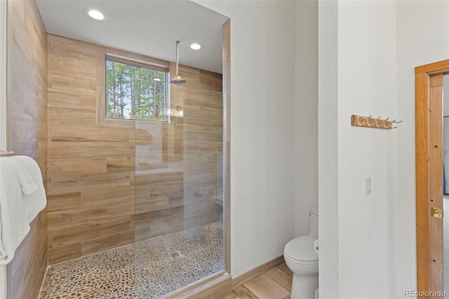 1107 Penstemon Rd, Dillon, CO 80435 - bathroom featuring toilet, a walk in shower, and recessed lighting