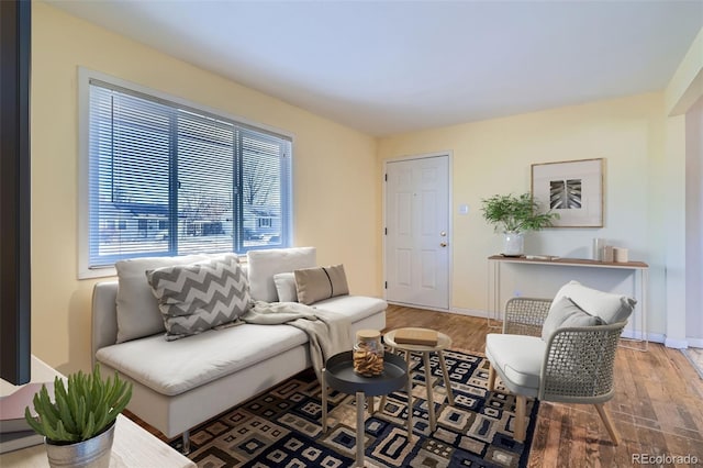 living room with wood-type flooring