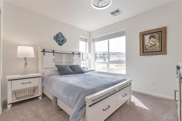 16841 Askins Loop Unit 101, Parker, CO 80134 - bedroom featuring light colored carpet and a barn door