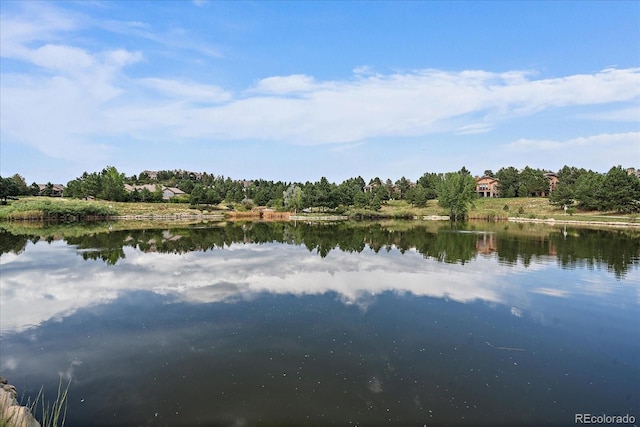 view of water feature