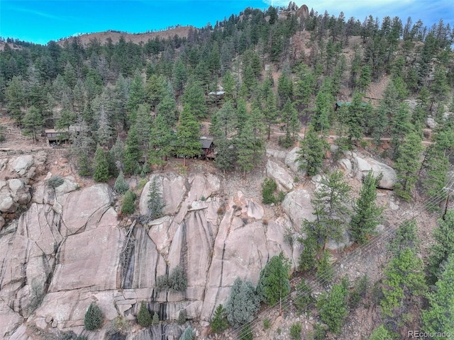 16048 Old Stagecoach Rd, Pine, CO 80470 - aerial view of property and surrounding area featuring a forest and a mountain backdrop