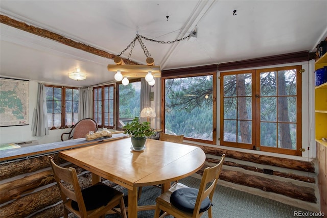 16048 Old Stagecoach Rd, Pine, CO 80470 - dining area featuring plenty of natural light