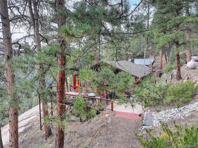 16048 Old Stagecoach Rd, Pine, CO 80470 - view of yard
