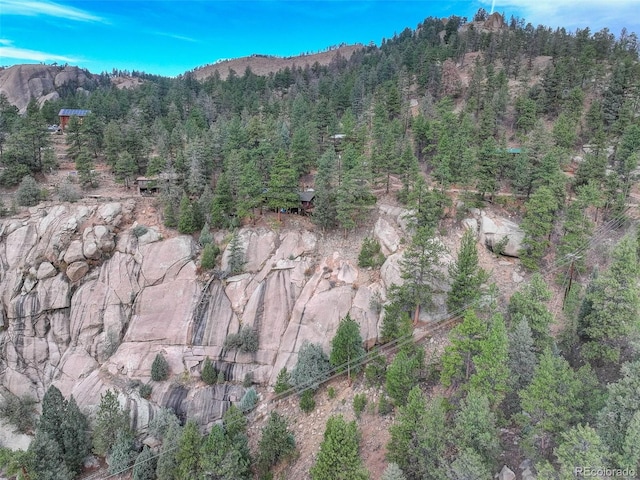 16048 Old Stagecoach Rd, Pine, CO 80470 - mountain view featuring a heavily wooded area
