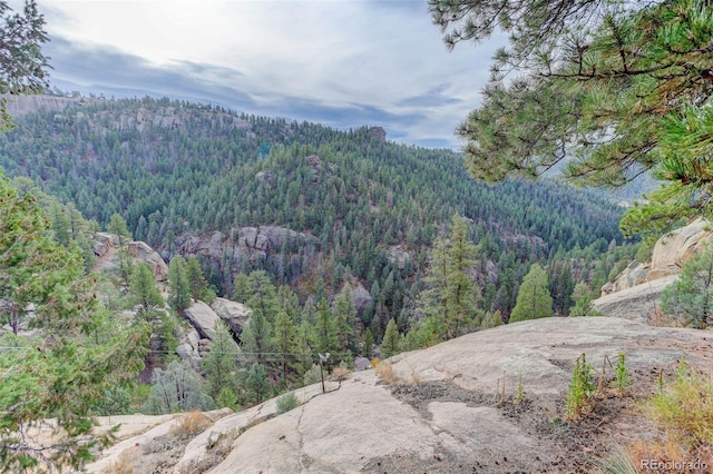 16048 Old Stagecoach Rd, Pine, CO 80470 - view of mountain backdrop with a forest