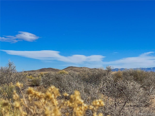00 Cedarwood Rd, Blanca, CO 81123 - photo 4