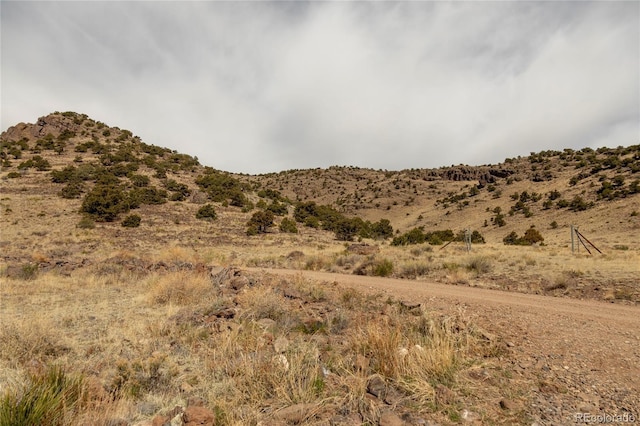 27 Ghost Mine, Del Norte, CO 81132