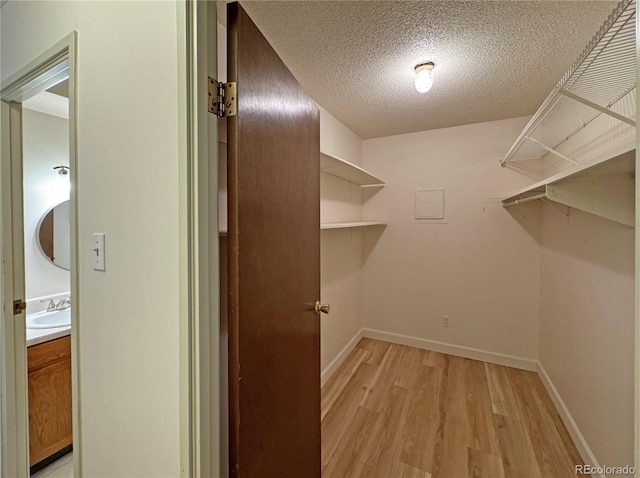 spacious closet with sink and light wood-type flooring