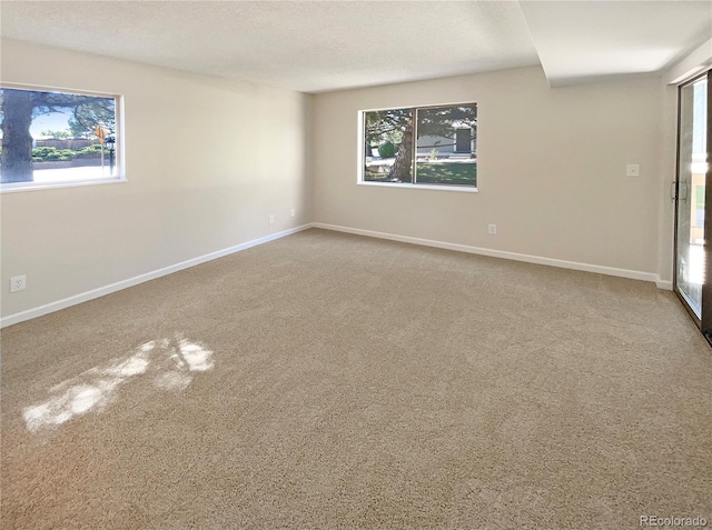 carpeted spare room with a wealth of natural light