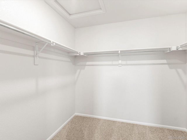 2724 73rd Avenue Ct, Greeley, CO 80634 - photo 30