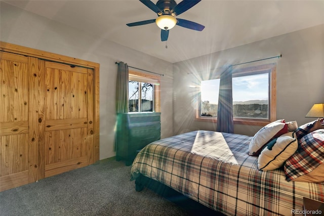 270 Piaute Way, Como, CO 80432 - bedroom featuring carpet flooring and a ceiling fan