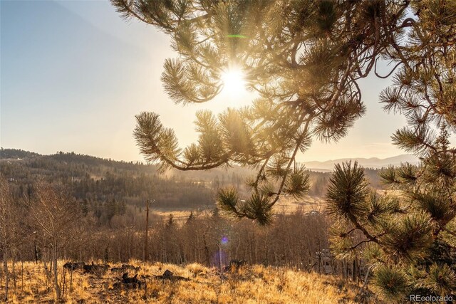 270 Piaute Way, Como, CO 80432 - nature at dusk featuring a wooded view
