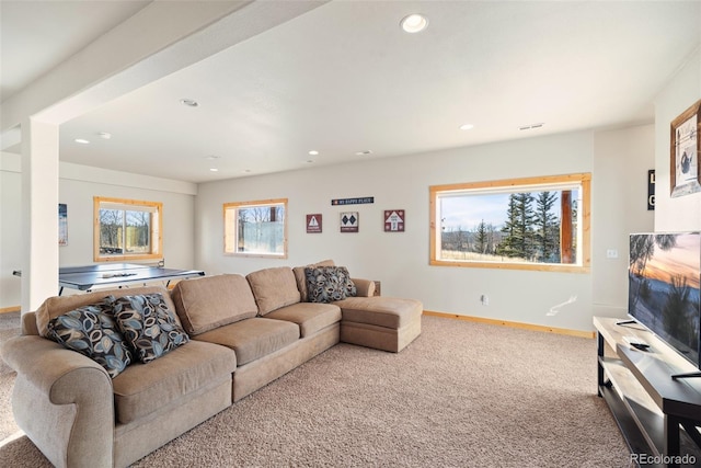 270 Piaute Way, Como, CO 80432 - living area with carpet and recessed lighting